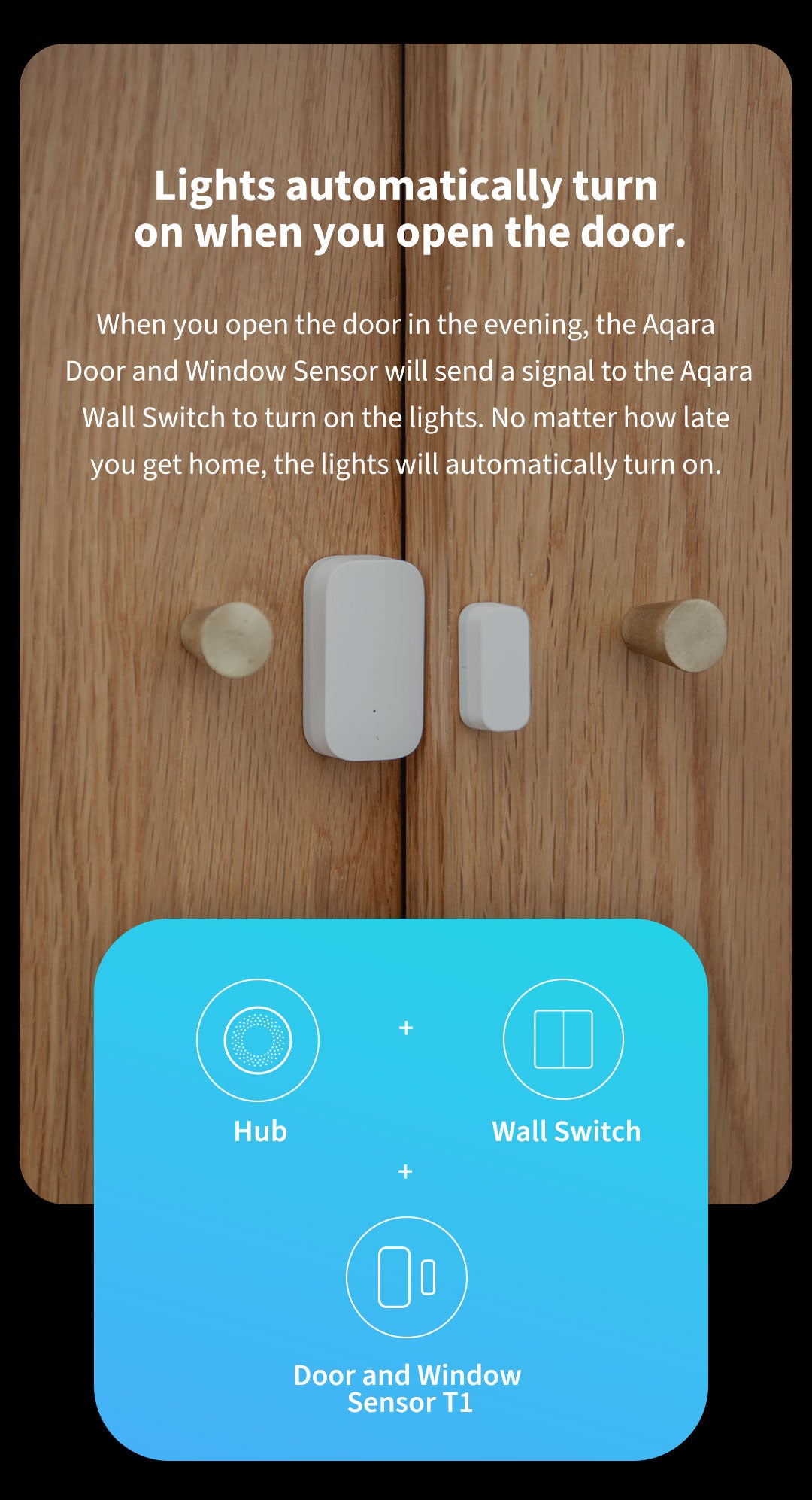 Door and Window Sensor T1