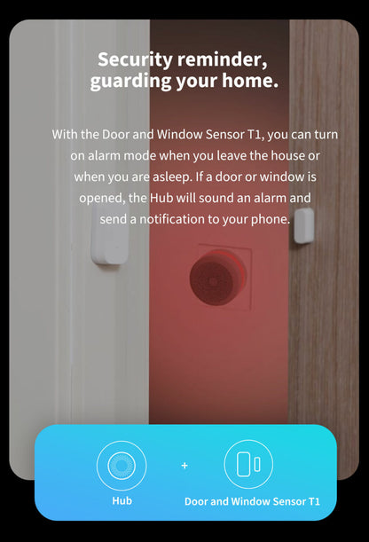 Door and Window Sensor T1