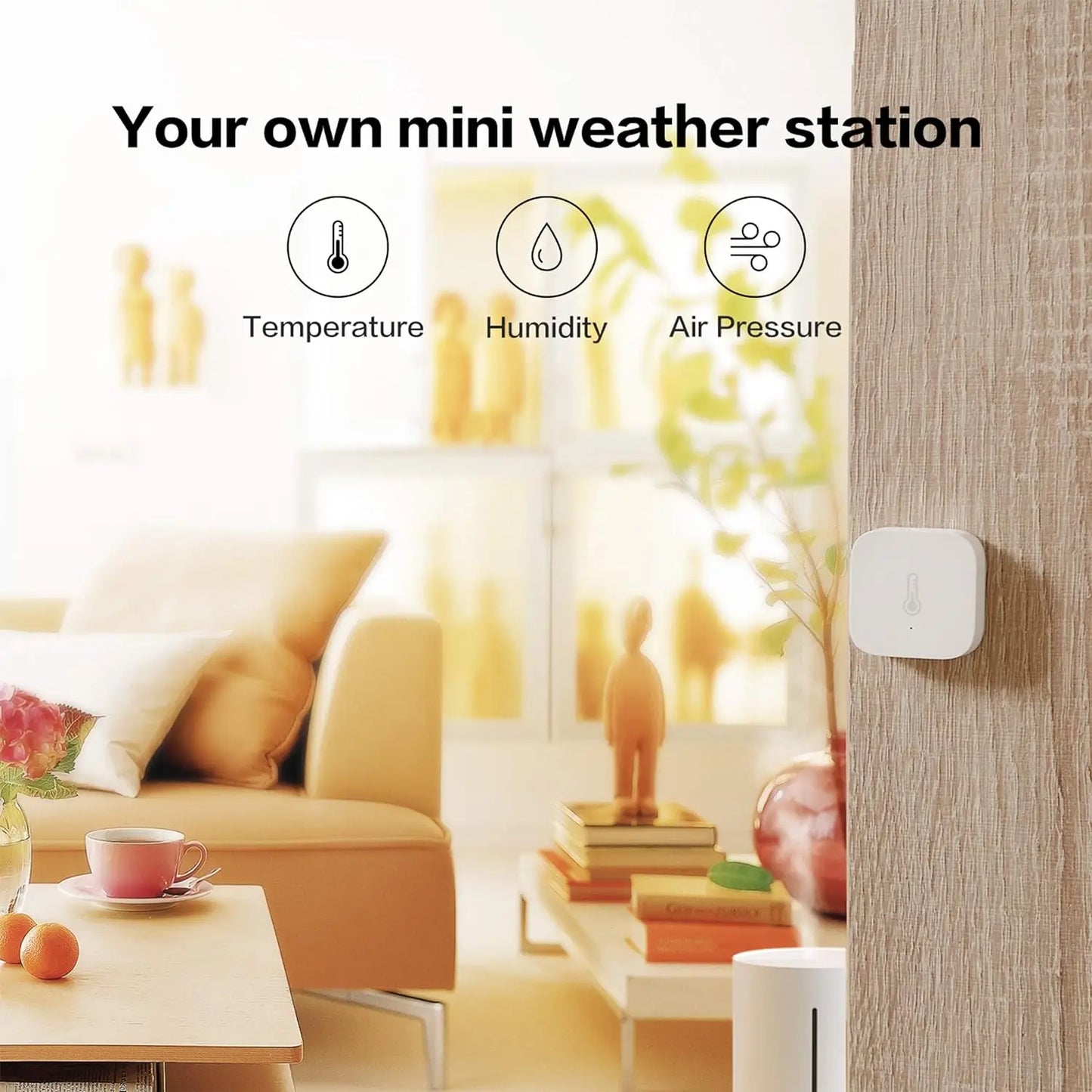 Temperture & Humidity Sensor T1