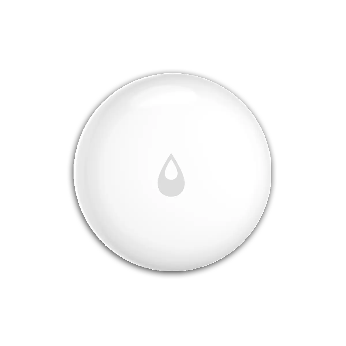 Water Leak Sensor T1