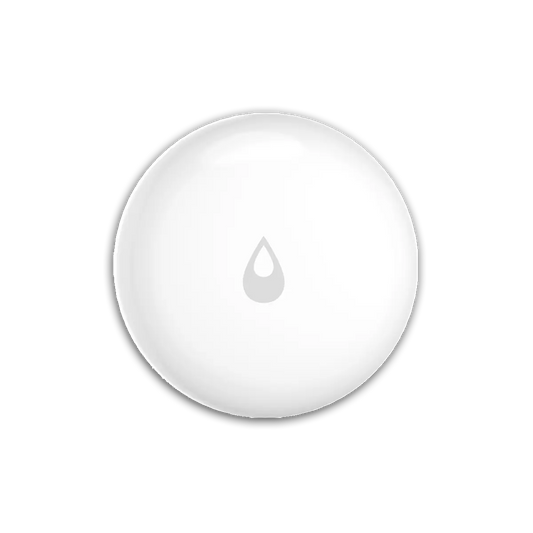 Water Leak Sensor T1